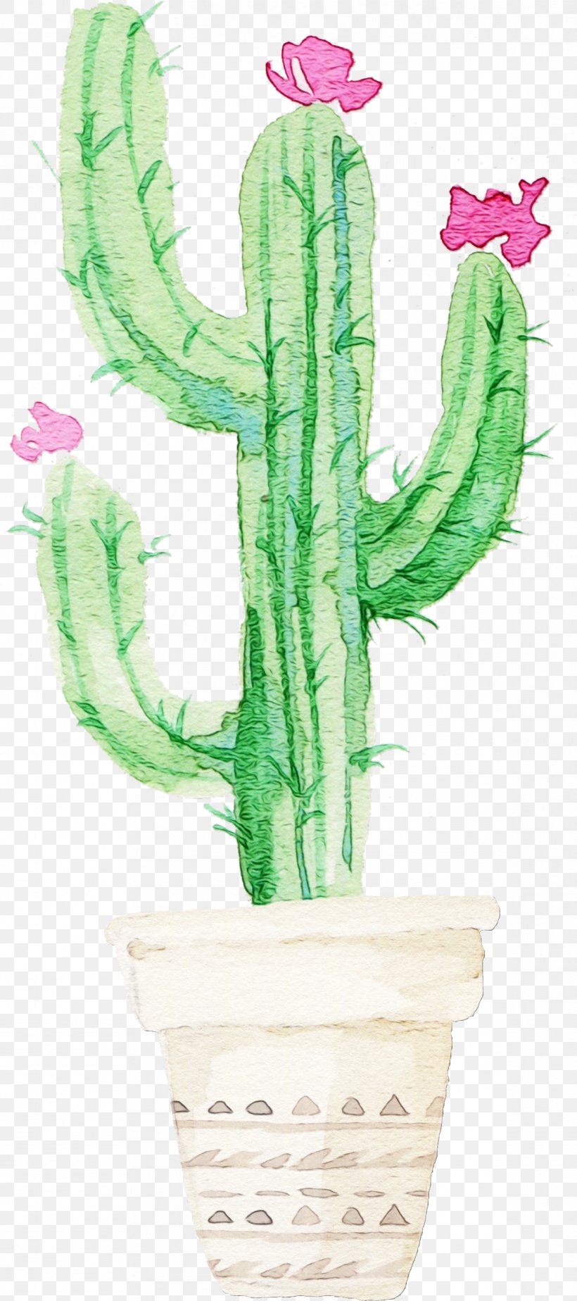 Cactus, PNG, 1166x2628px, Watercolor, Cactus, Flower, Flowerpot, Houseplant Download Free
