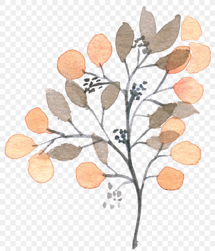 Loquat Painting, PNG, 1046x1223px, Loquat, Branch, Cartoon, Designer, Floral Design Download Free