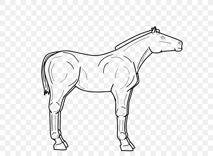 Mule Foal Stallion Bridle Colt, PNG, 800x600px, Mule, Animal Figure, Arm, Artwork, Black And White Download Free