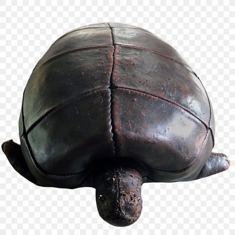 Tortoise Pond Turtles Sea Turtle Helmet, PNG, 1200x1200px, Tortoise, Emydidae, Helmet, Personal Protective Equipment, Pond Turtles Download Free