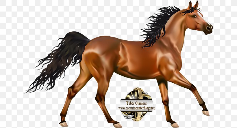 Morgan Horse Arabian Horse Pony Andalusian Horse Clip Art, PNG, 652x444px, Morgan Horse, Andalusian Horse, Animal Figure, Arabian Horse, Black Download Free