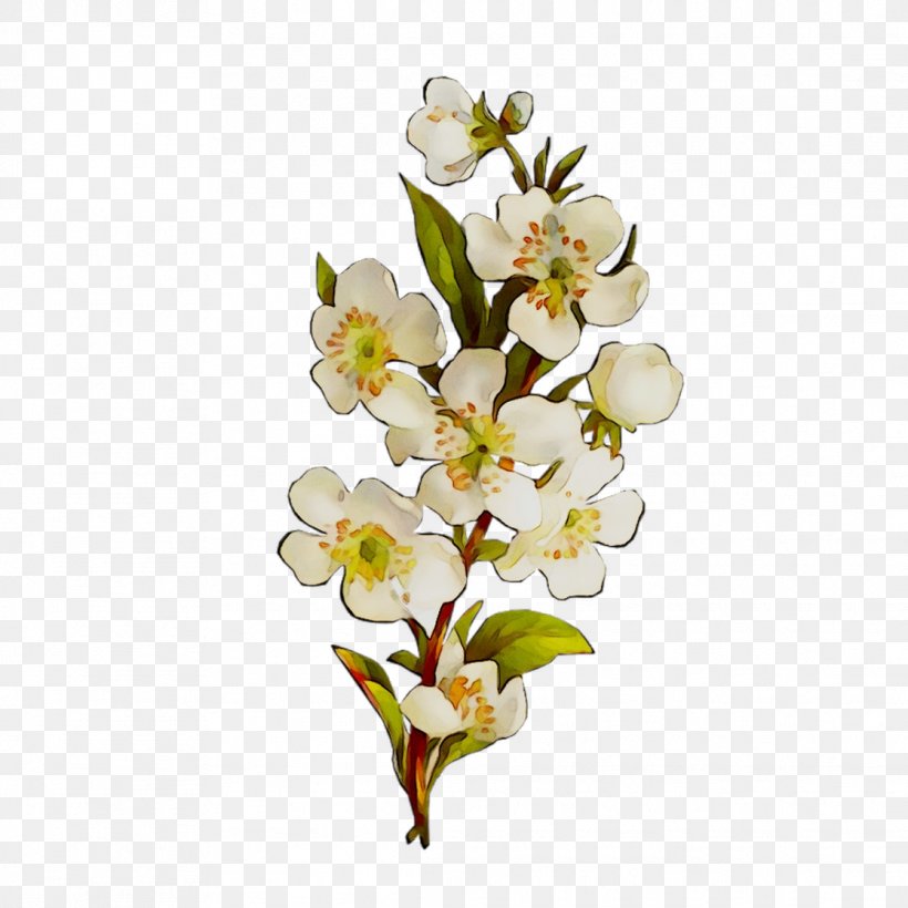 Moth Orchids Cut Flowers Floral Design, PNG, 1116x1116px, Moth Orchids, Artificial Flower, Blossom, Bouquet, Branch Download Free