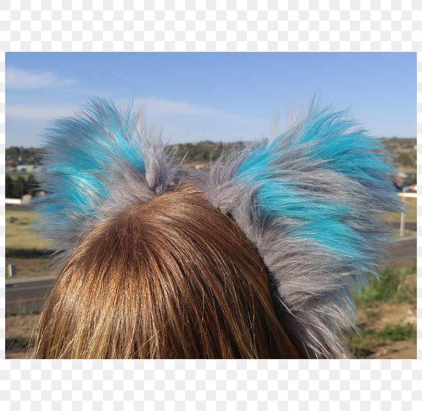 Cheshire Cat Kitten Tail Ear, PNG, 800x800px, Cat, Animal Roleplay, Blue, Cheshire Cat, Ear Download Free