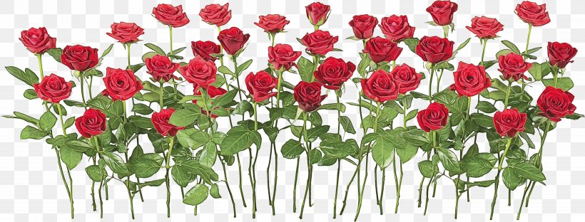Floral Flower Background, PNG, 4000x1526px, Garden Roses, Artificial Flower, Bouquet, Cut Flowers, Cyan Design Download Free