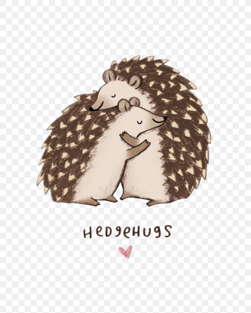 Hedgehog Home Hedgehugs T-shirt, PNG, 796x1023px, Hedgehog, Animal, Baby Hedgehogs, Clothing, Cuteness Download Free