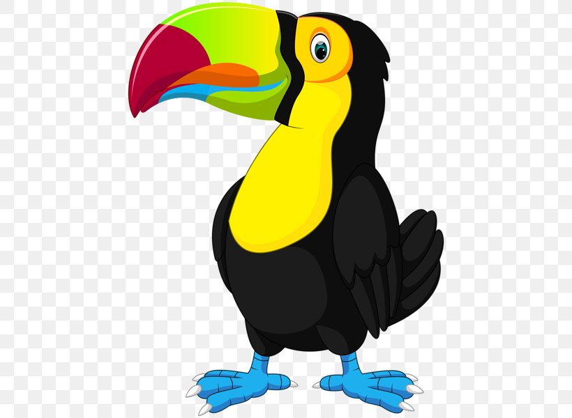 Vector Graphics Clip Art Illustration Toucan Royalty-free, PNG, 460x600px, Toucan, Beak, Bird, Cartoon, Collage Download Free