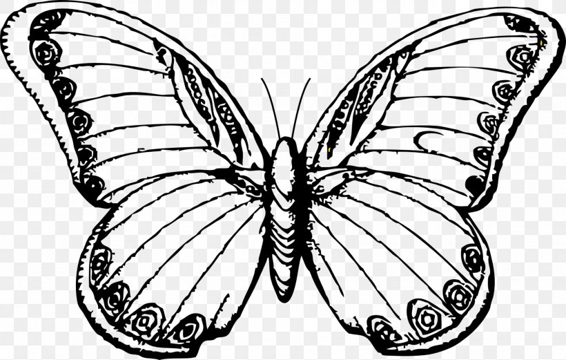 Butterfly Line Art Drawing Black And White Clip Art, PNG, 1871x1189px, Butterfly, Art, Artwork, Black And White, Bombycidae Download Free
