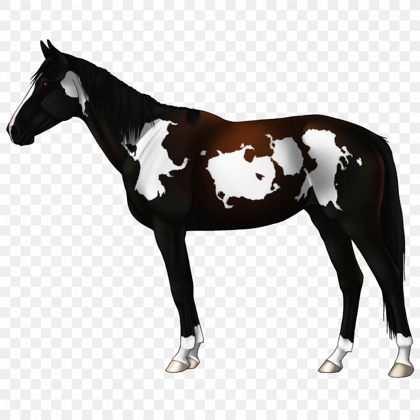 Mustang Appaloosa Mare Stallion Arabian Horse, PNG, 2000x2000px, Mustang, Appaloosa, Appaloosa Horse Club, Arabian Horse, Bay Download Free