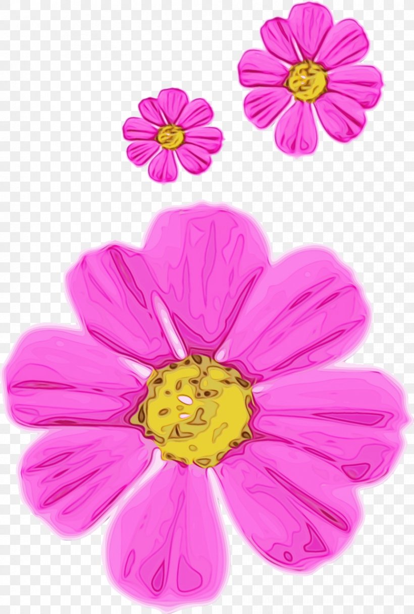 Petal Flower Pink Plant Flowering Plant, PNG, 862x1280px, Watercolor, Cosmos, Daisy Family, Flower, Flowering Plant Download Free
