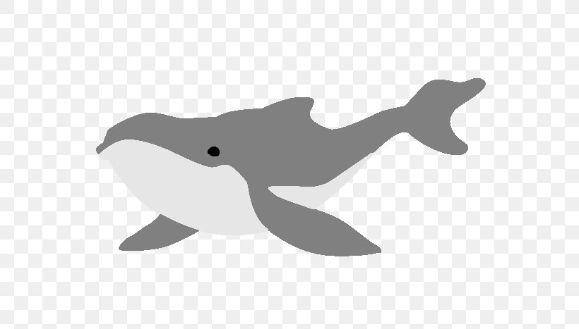 Tucuxi Cetacea Porpoise Killer Whale Humpback Whale, PNG, 624x467px, Tucuxi, Beak, Bird, Black And White, Bottlenose Dolphin Download Free