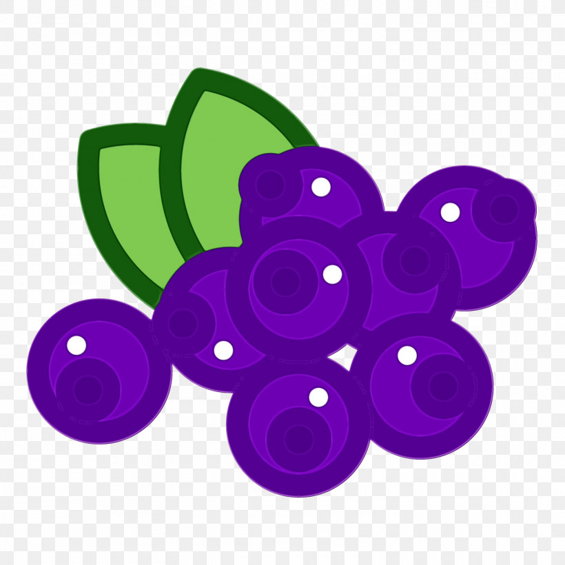 Violet Purple Grape Grapevine Family Fruit, PNG, 1500x1500px, Watercolor, Berry, Button, Circle, Fruit Download Free