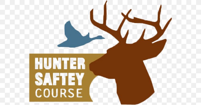 Education Hunting Safety Course Class, PNG, 584x430px, Education, Antler, Artwork, Brand, Class Download Free