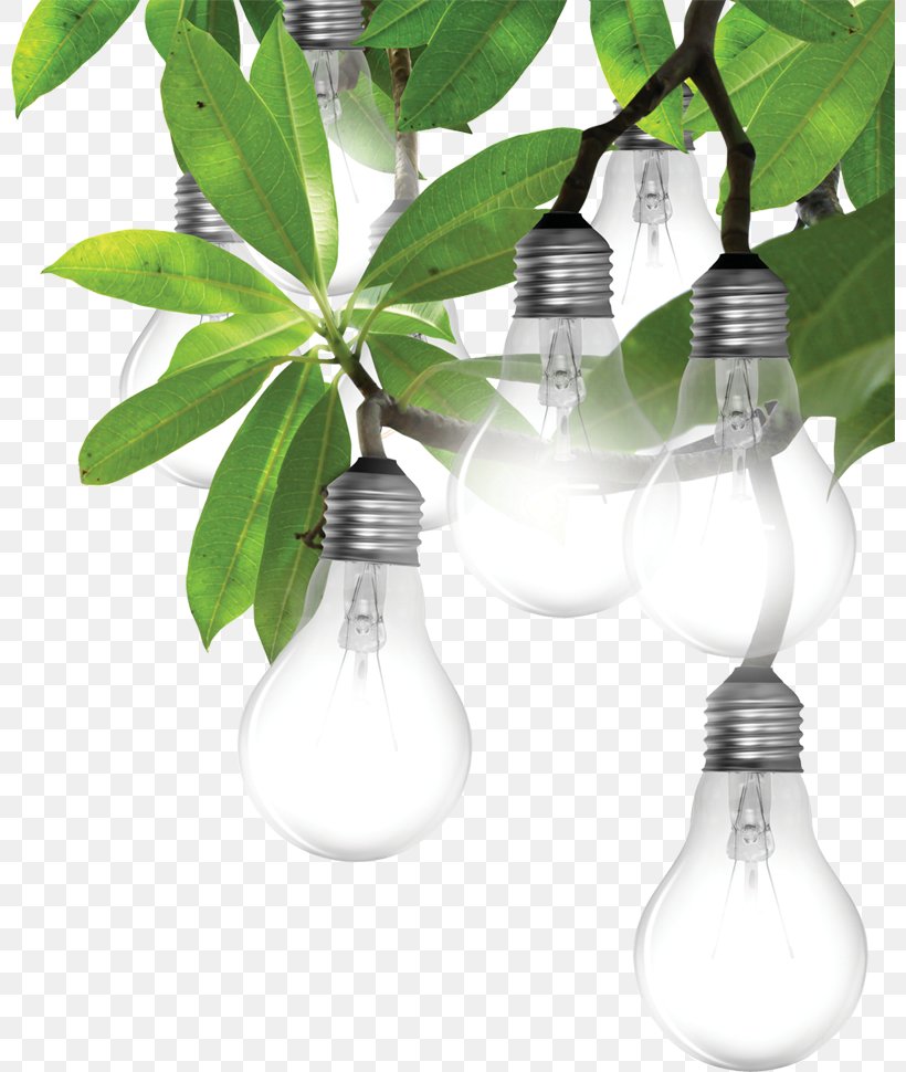 Incandescent Light Bulb Lighting LED Lamp Light-emitting Diode, PNG, 800x970px, Solar Power, Alfa Laval, Branch, Business, Drinkware Download Free