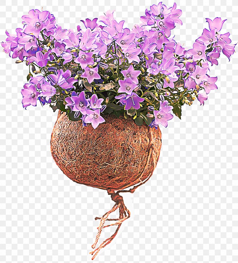Lavender, PNG, 900x995px, Flower, Cut Flowers, Flowering Plant, Flowerpot, Lavender Download Free