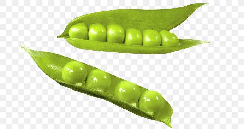 Pea Vegetable Common Bean Green Bean, PNG, 699x436px, Pea, Bean, Bell Pepper, Commodity, Common Bean Download Free