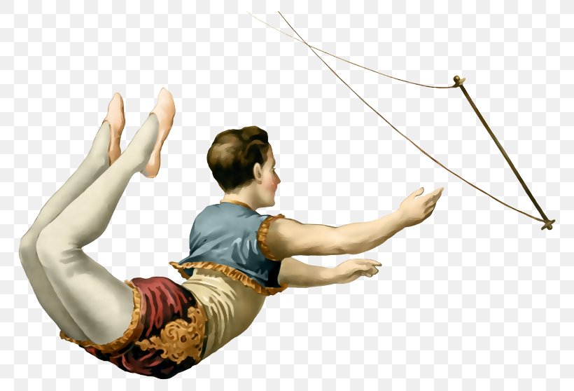 Circus Flying Trapeze Acrobatics, PNG, 800x558px, Circus, Acrobat, Acrobatics, Arm, Clown Download Free