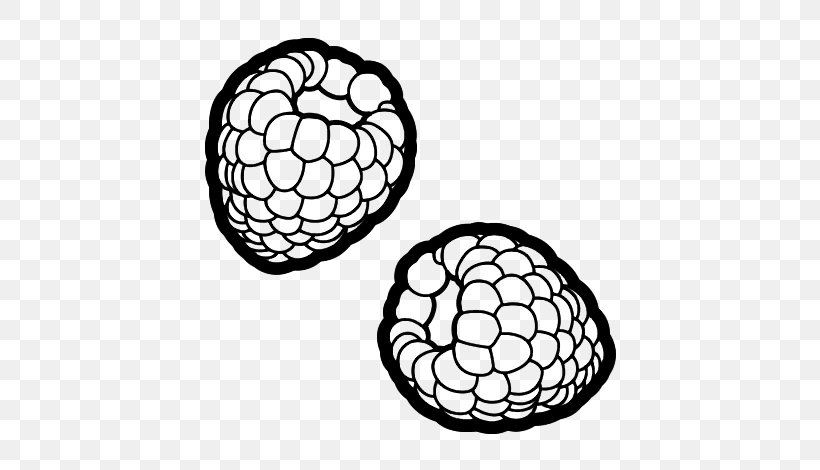 Drawing Painting Fruit Coloring Book, PNG, 600x470px, Drawing, Area, Ball, Berry, Black And White Download Free