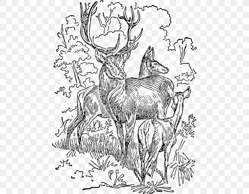 White-tailed Deer Red Deer Reindeer Moose, PNG, 476x640px, Deer, Antler, Art, Artwork, Black And White Download Free