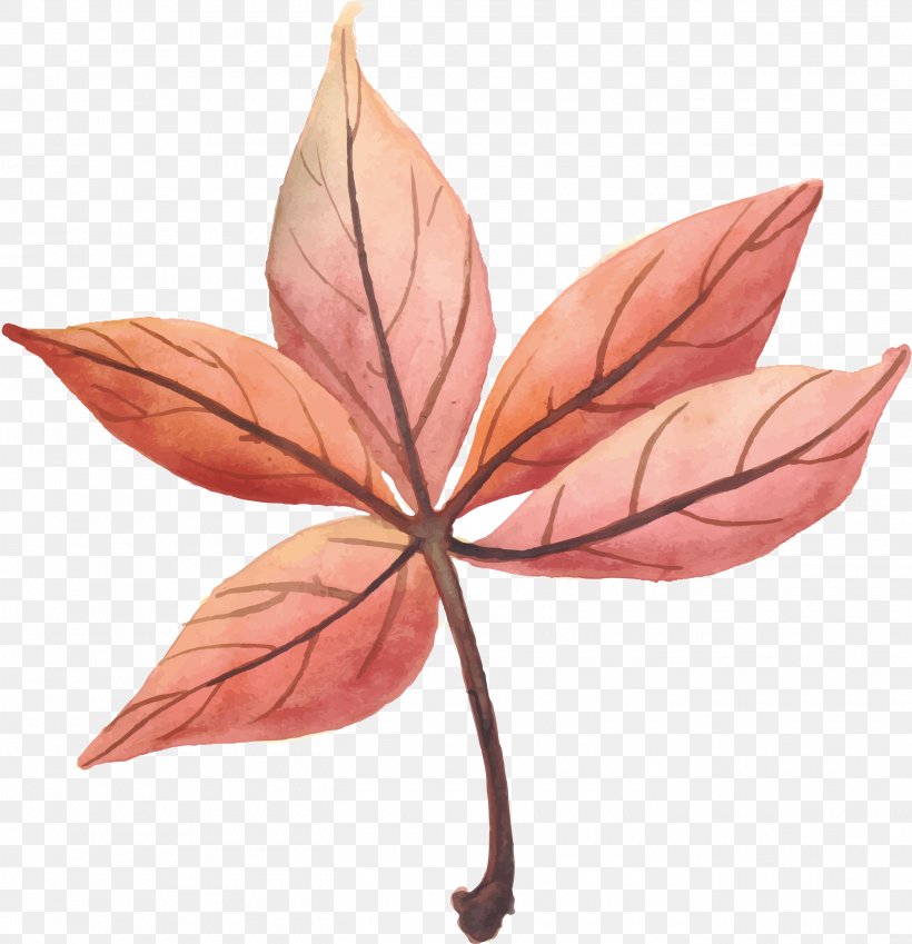 Leaf Autumn Euclidean Vector, PNG, 2700x2796px, Leaf, Autumn, Branch, Maple Leaf, Plant Download Free