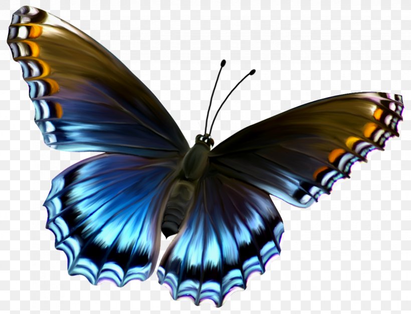 Butterfly Clip Art, PNG, 823x630px, Butterfly, Arthropod, Blue, Brush Footed Butterfly, Color Download Free