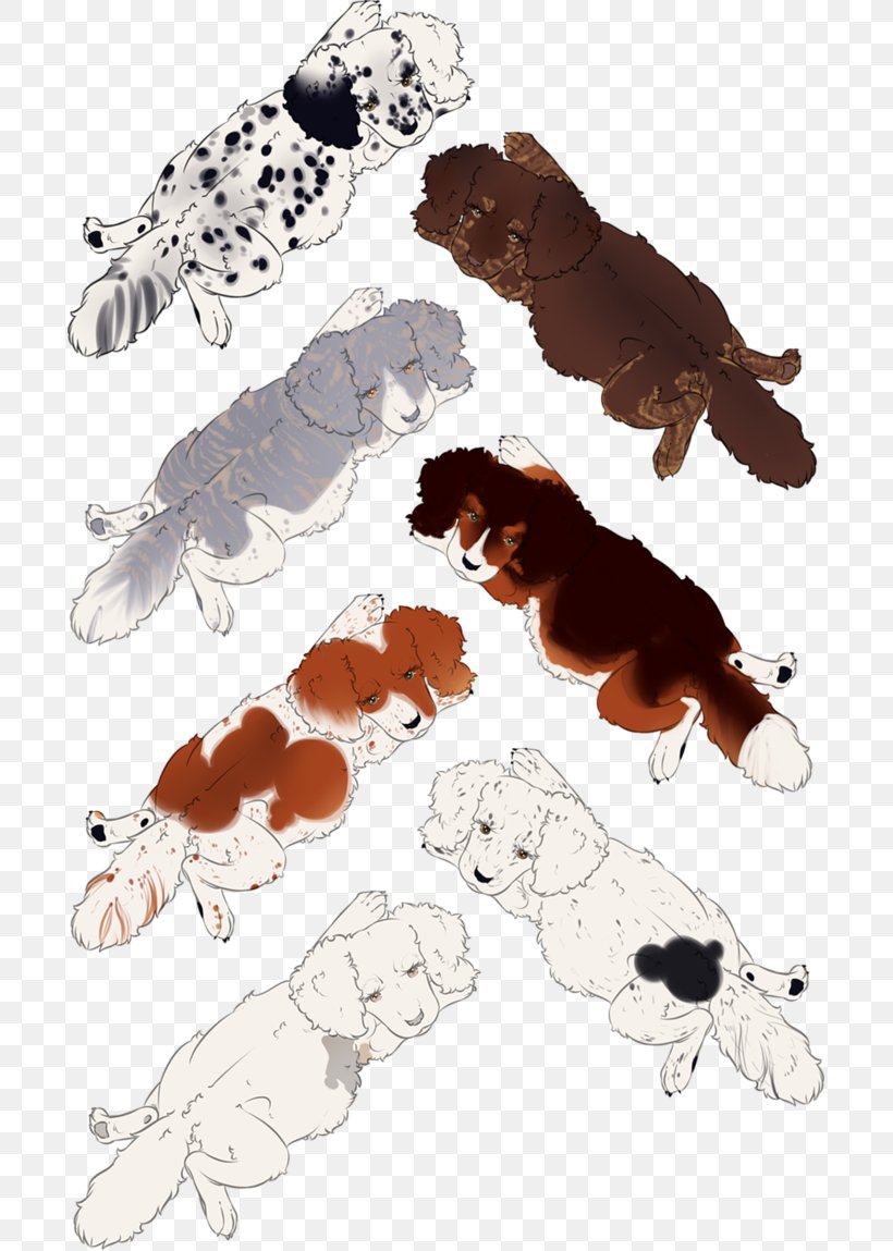 Canidae Dog Paw Shoe Mammal, PNG, 695x1149px, Canidae, Carnivoran, Dog, Dog Like Mammal, Mammal Download Free