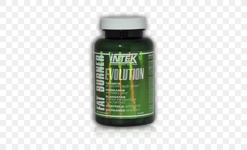 Dietary Supplement Fatburner Branched-chain Amino Acid Metabolism Evolution, PNG, 500x500px, Dietary Supplement, Adipose Tissue, Appetite, Basal Metabolic Rate, Bodybuilding Supplement Download Free