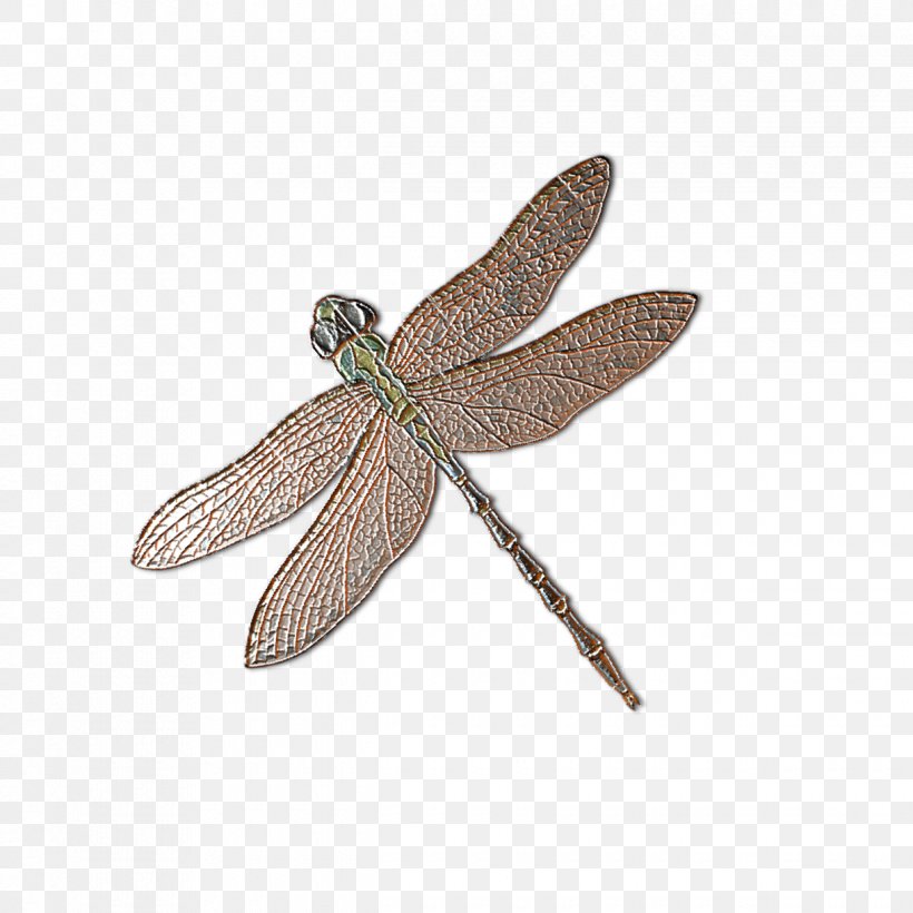 Dragonfly Insect Cartoon, PNG, 1220x1220px, Dragonfly, Cartoon, Dragonflies And Damseflies, Insect, Insect Wing Download Free