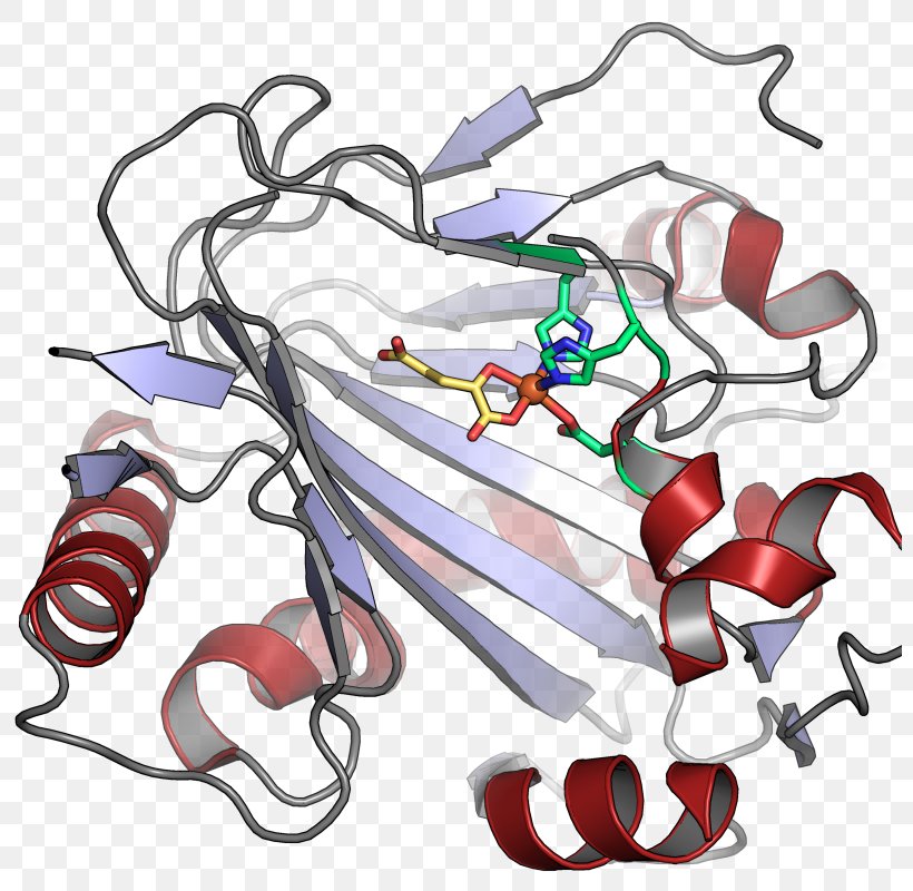 Phytanoyl-CoA Dioxygenase Hydroxylation Procollagen-proline Dioxygenase Alpha-Ketoglutaric Acid, PNG, 800x800px, Watercolor, Cartoon, Flower, Frame, Heart Download Free