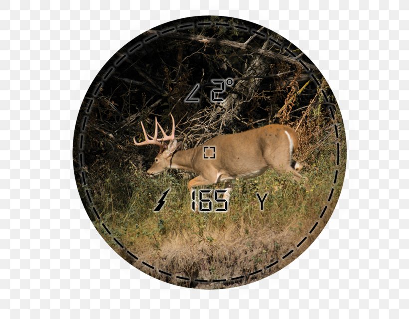 Range Finders Laser Rangefinder Sports Viewfinder, PNG, 640x640px, Range Finders, Antler, Deer, Fauna, Game Download Free