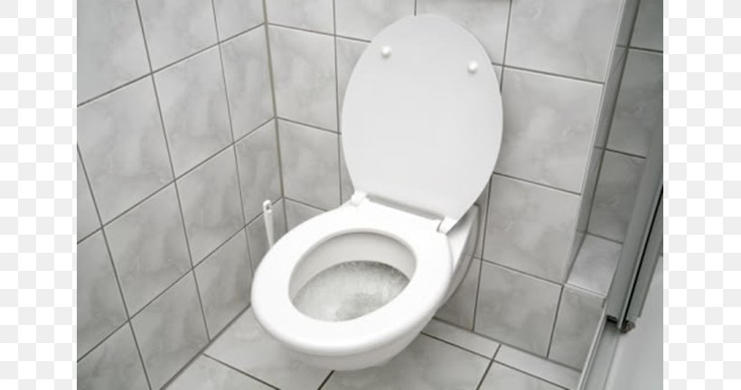 Toilet & Bidet Seats Bathroom Wall Decal Flush Toilet, PNG, 768x432px, Toilet, Bathroom, Bathroom Sink, Bidet, Ceramic Download Free