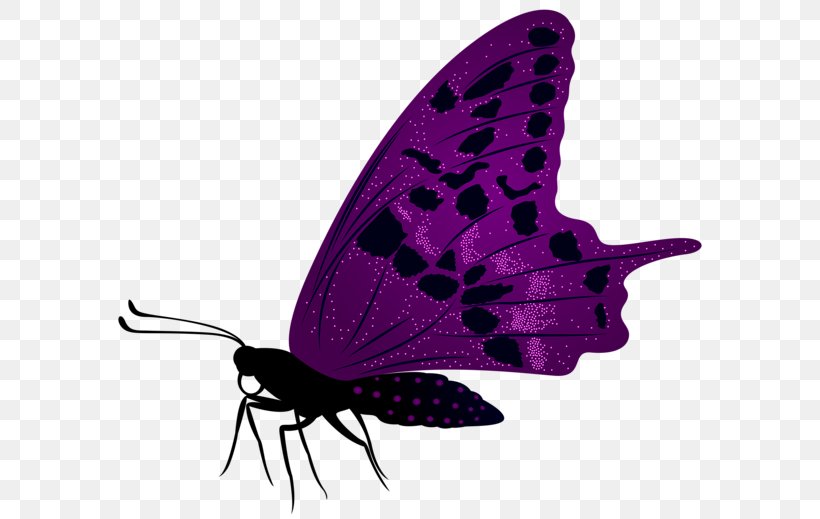 Butterfly Desktop Wallpaper Clip Art, PNG, 600x519px, Butterfly, Arthropod, Brush Footed Butterfly, Butterflies And Moths, Digital Image Download Free