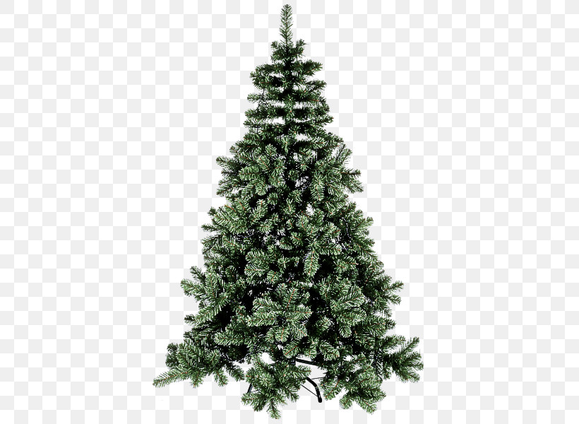 Christmas Tree, PNG, 600x600px, Shortleaf Black Spruce, American Larch, Arizona Cypress, Balsam Fir, Canadian Fir Download Free