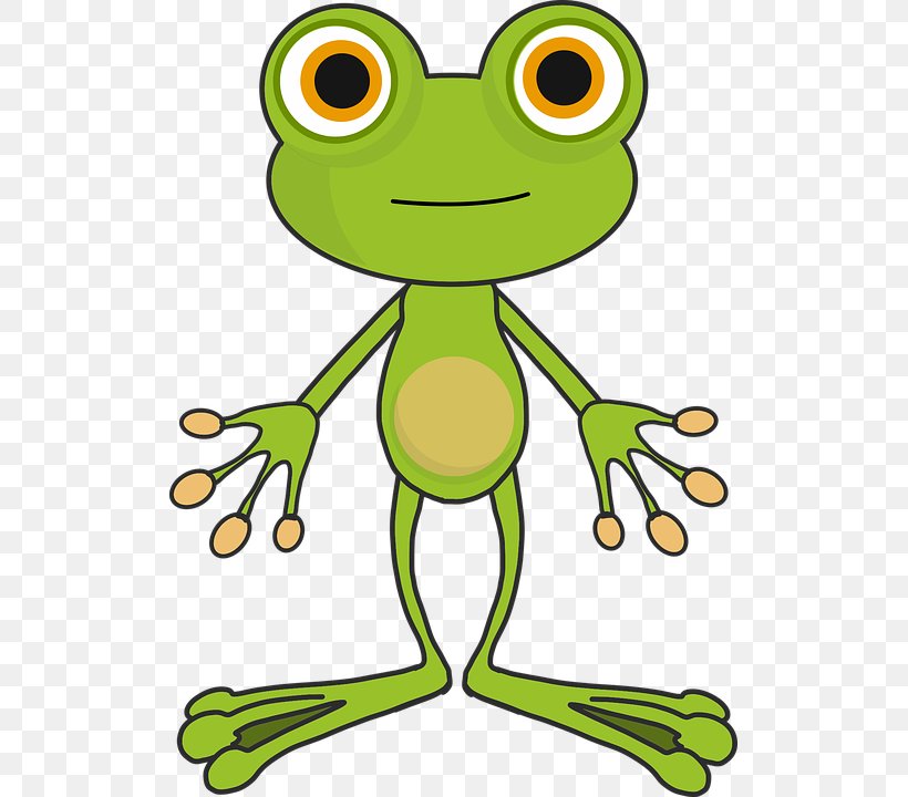 Frog T-shirt Toad Clip Art, PNG, 513x720px, Frog, Amphibian, Area, Artwork, Cartoon Download Free