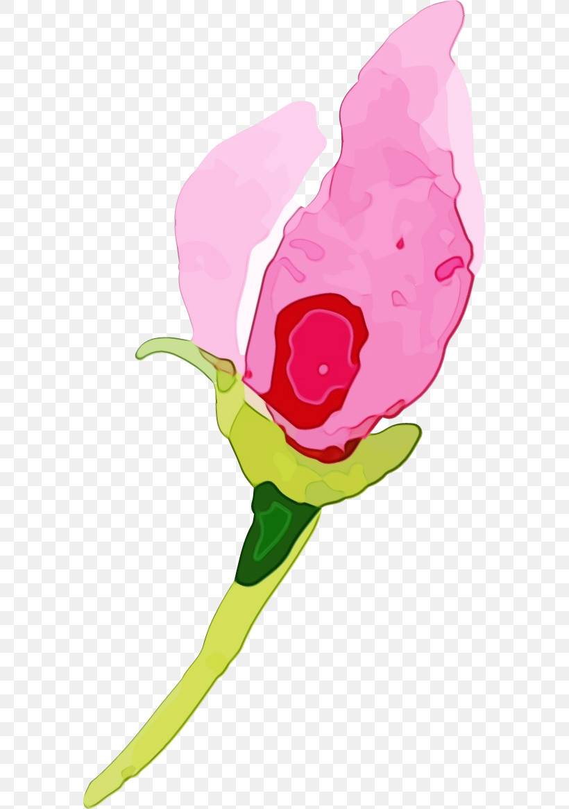 Garden Roses, PNG, 579x1165px, Watercolor, Character, Character Created By, Floral Design, Garden Download Free