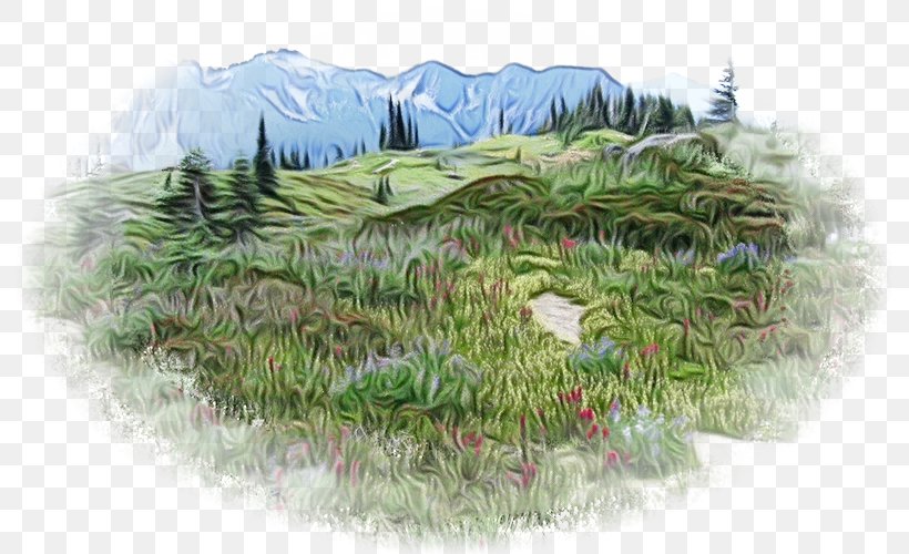 Alps Vegetation Shrubland Biome Pine, PNG, 800x500px, Alps, Biome, Conifer, Drawing, Evergreen Download Free