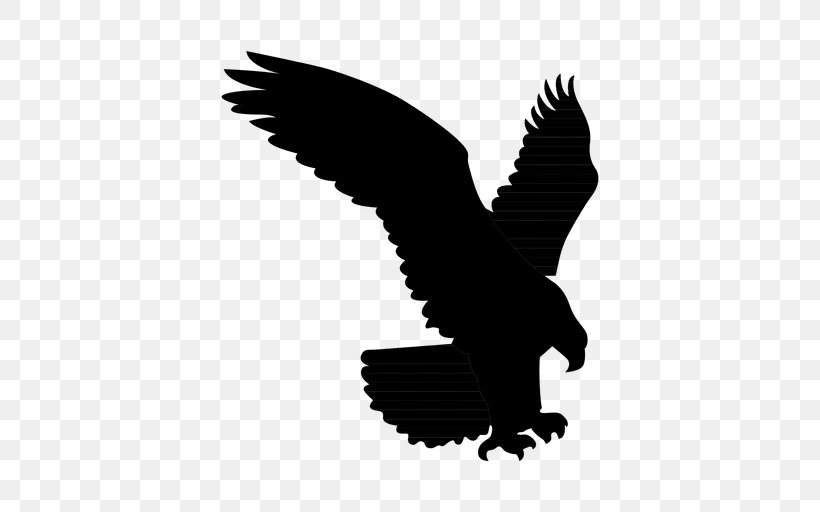 Bald Eagle Silhouette Owl Vector Graphics, PNG, 512x512px, Bald Eagle, Accipitridae, Accipitriformes, Beak, Bird Download Free
