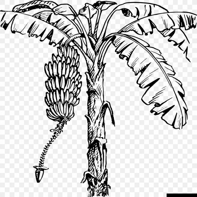 Banana Plantation Clip Art, PNG, 1024x1024px, Banana, Arm, Artwork, Banana Leaf, Banana Plantation Download Free