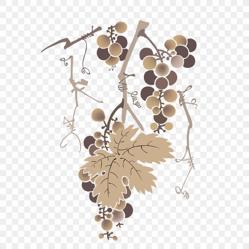 Common Grape Vine White Wine Vector Graphics, PNG, 1000x1000px, Common Grape Vine, Beige, Branch, Drawing, Flower Download Free