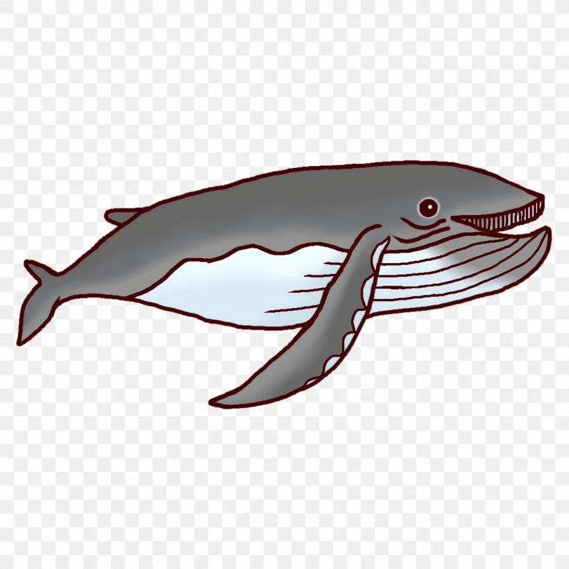 Porpoise Dolphin Fish Font Biology, PNG, 1400x1400px, Porpoise, Biology, Dolphin, Fish, Science Download Free