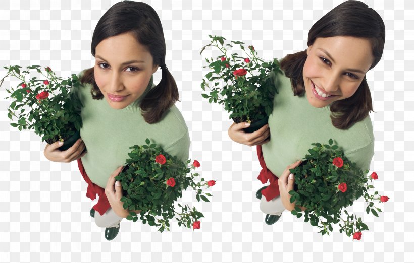 Woman Floral Design Garden Roses JPEG, PNG, 4622x2943px, Woman, Christmas, Christmas Decoration, Christmas Ornament, Decor Download Free