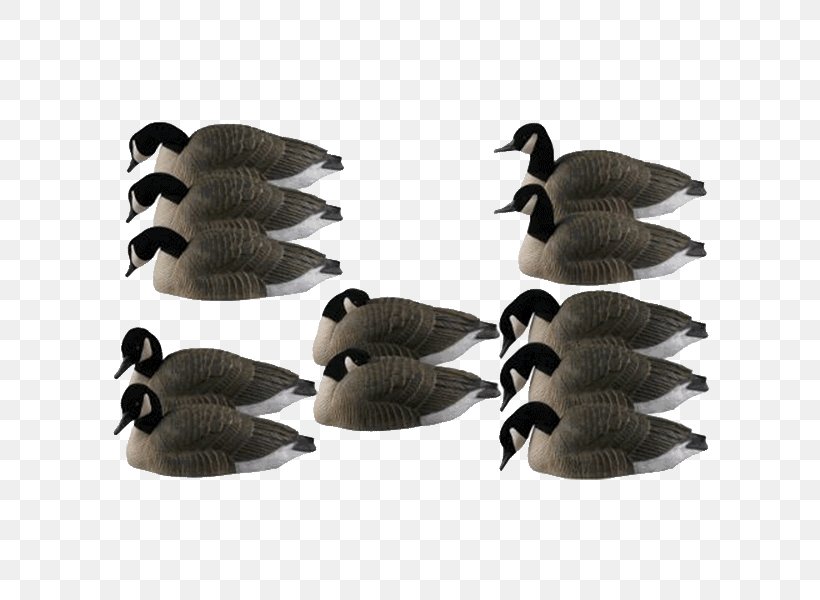 Canada Goose Duck Mallard Decoy, PNG, 600x600px, Goose, Beak, Bird, Canada Goose, Cat Download Free