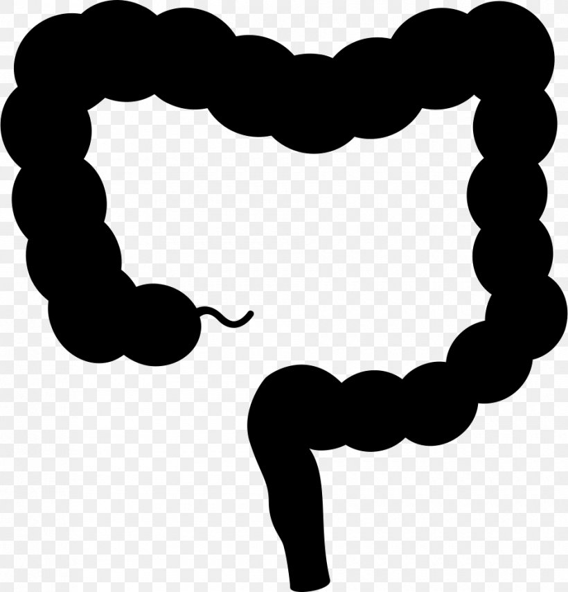 Large Intestine Clip Art Colorectal Cancer, PNG, 940x980px, Intestine, Bowel Obstruction, Colorectal Cancer, Gastrointestinal Tract, Health Download Free