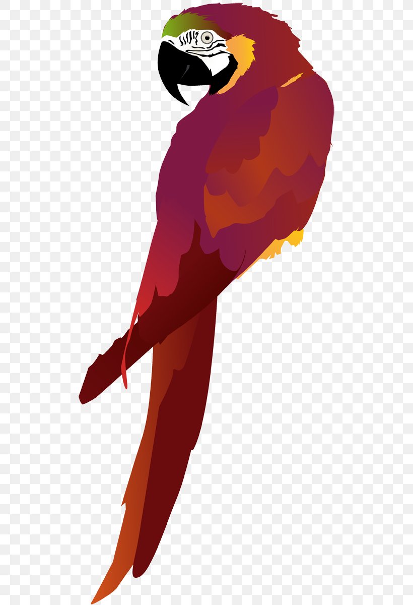 Macaw Beak Bird Wing Clip Art, PNG, 511x1200px, Macaw, Beak, Bird, Character, Feather Download Free