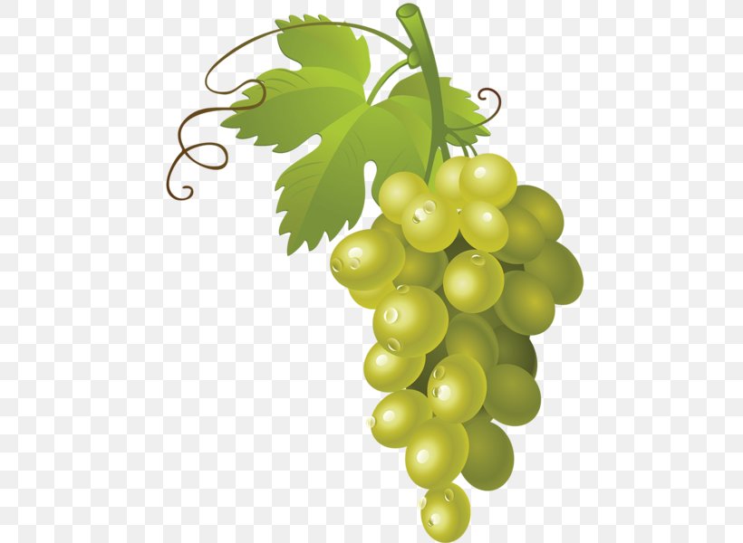 White Wine Muscat Grape Clip Art, PNG, 474x600px, White Wine, Common Grape Vine, Flowering Plant, Food, Fruit Download Free