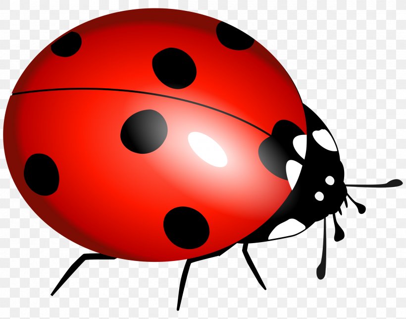 Beetle Ladybird Marinette Dupain-Cheng Clip Art, PNG, 2400x1882px, Beetle, Adrien Agreste, Clip Art, Coccinella Septempunctata, Coleomegilla Maculata Download Free