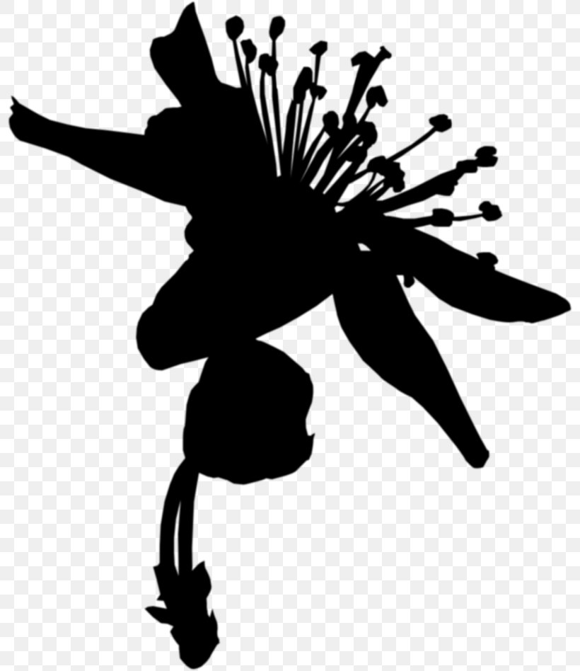 Clip Art Flowering Plant Silhouette Branching, PNG, 800x948px, Flower, Art, Black M, Blackandwhite, Branching Download Free