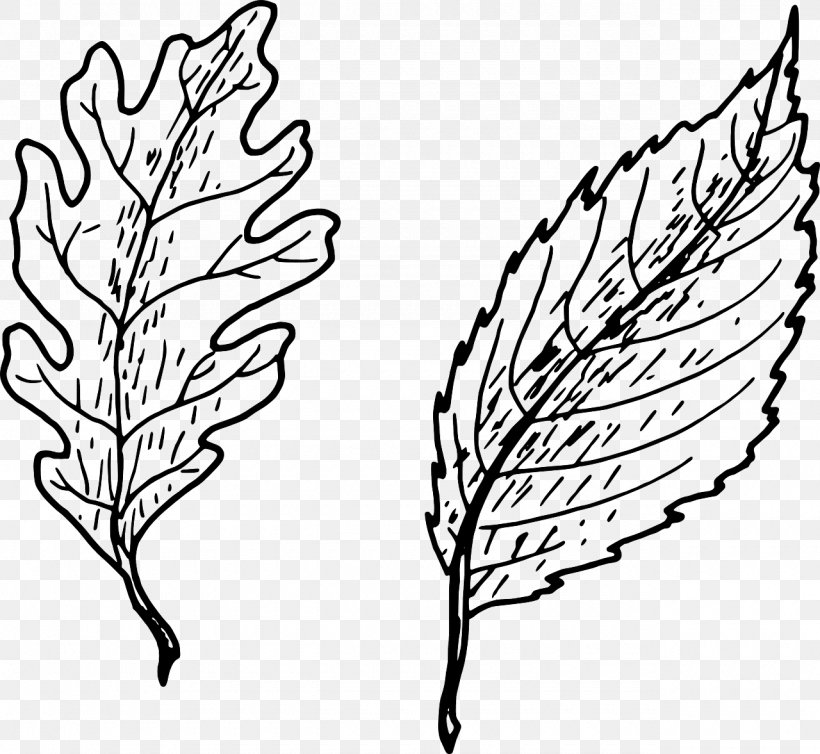 Drawing Leaf Clip Art, PNG, 1280x1177px, Drawing, Artwork, Autumn Leaf Color, Black And White, Branch Download Free
