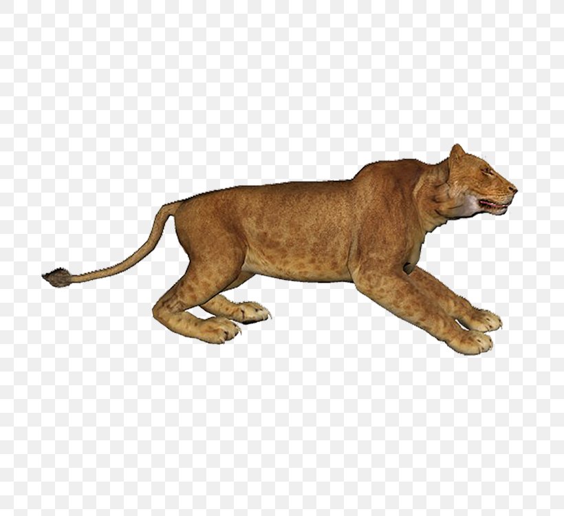 Lion, PNG, 750x750px, Lion, Animal, Animal Figure, Big Cat, Big Cats Download Free
