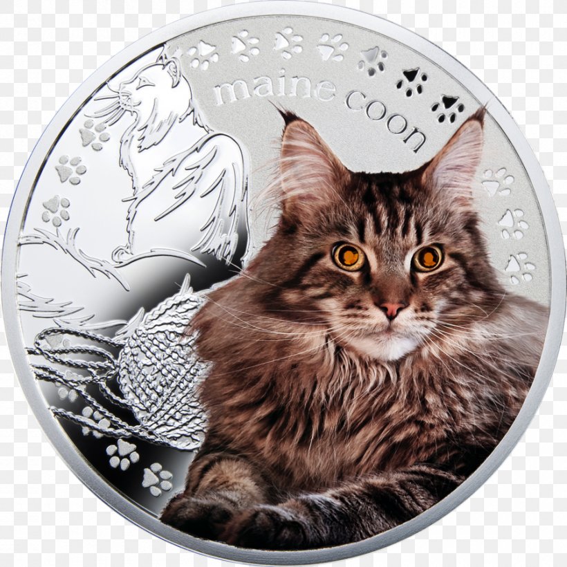 Maine Coon Norwegian Forest Cat Dragon Li Whiskers Domestic Short-haired Cat, PNG, 900x900px, Maine Coon, California Spangled, Carnivoran, Cat, Cat Like Mammal Download Free