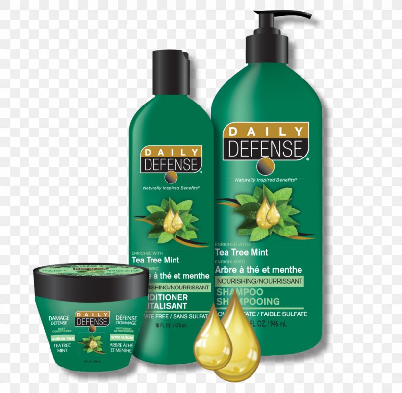 Tea Tree Oil Hair Conditioner Shampoo Narrow-leaved Paperbark Teatree, PNG, 1024x1001px, Tea Tree Oil, Dandruff, Essential Oil, Hair, Hair Conditioner Download Free